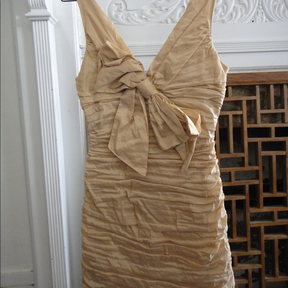 Nicole miller dress